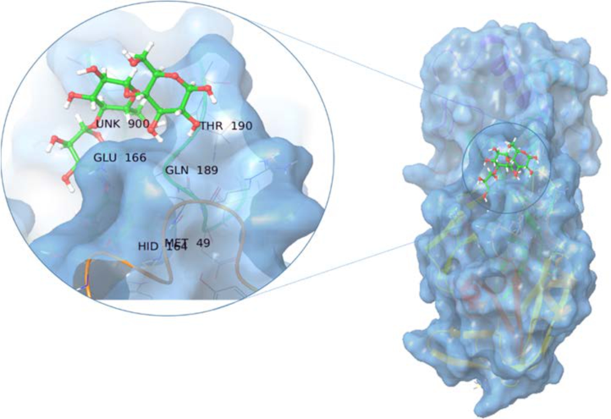 Image for - Inhibitory Activity of Balanites aegyptiaca Phytochemicals on Main Protease of SARS-CoV-2: Virtual Screening and Molecular Dynamics Simulation