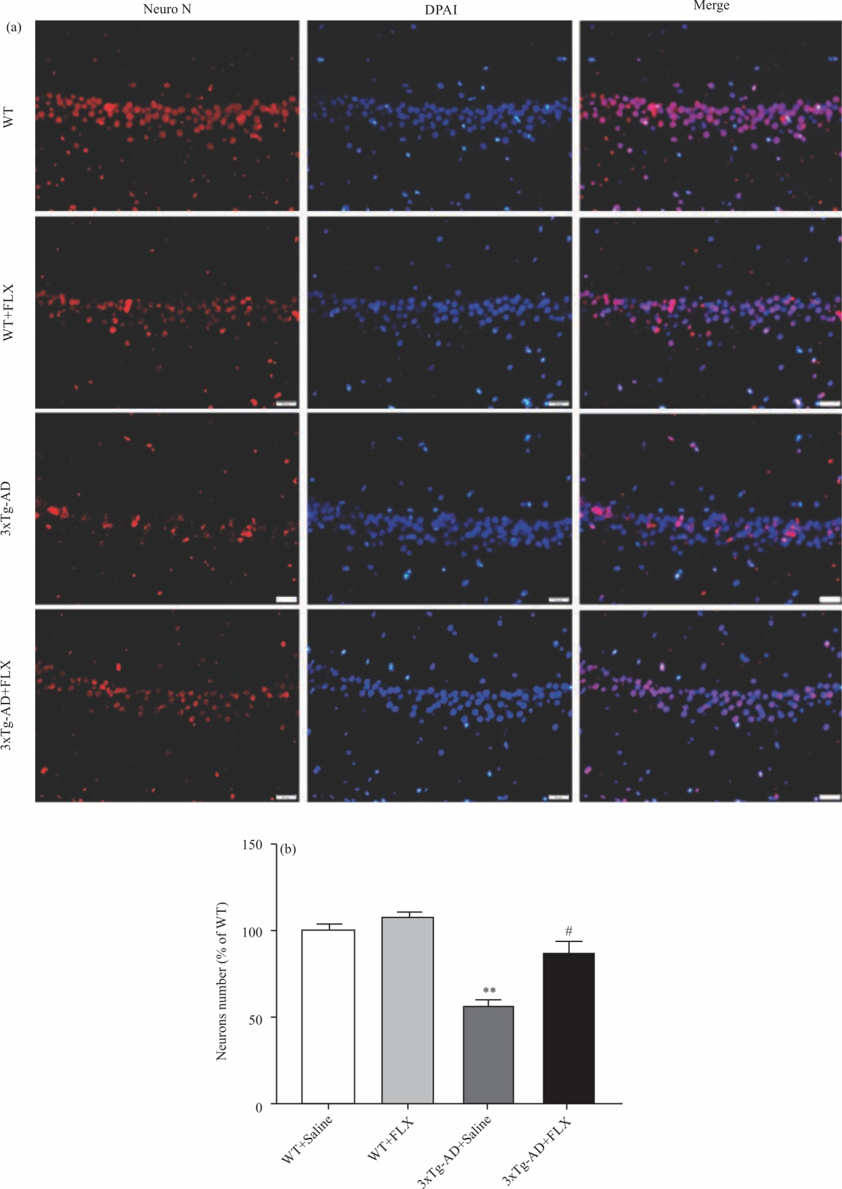 Image for - Fluoxetine Ameliorates Depression via Activation of CREB/BDNF/TrkB Pathway in Triple Transgenic Alzheimer’s Disease Model Mice