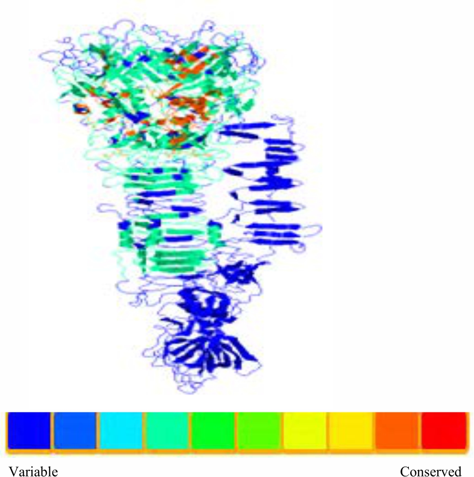 Image for - Functional and Structural Annotation of a Hypothetical Protein (PA2373) from Pseudomonas aeruginosa PA01