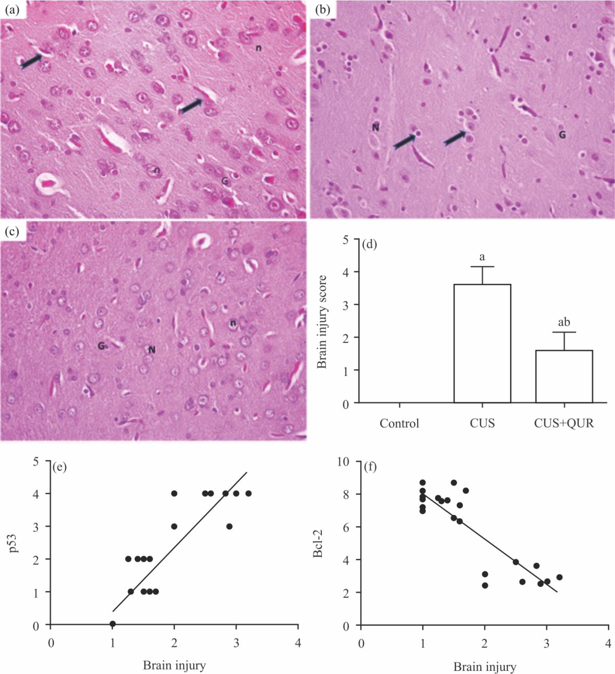 Image for - Quercetin Inhibits Chronic Stress-Induced Depression Associated with the Inhibition of Nitrosative Stress and Apoptosis
