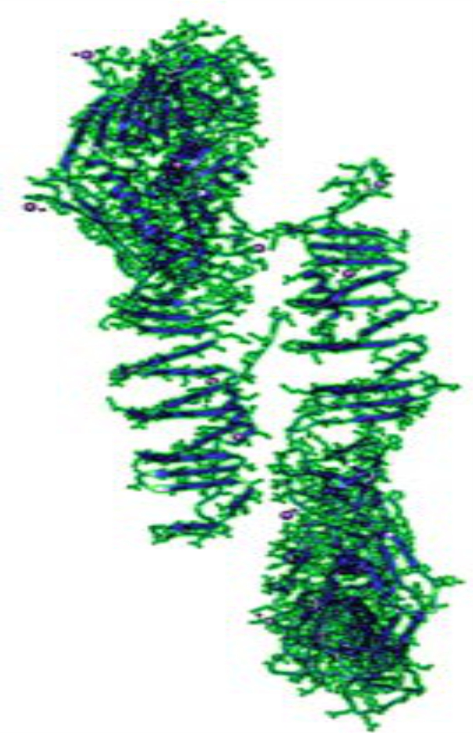 Image for - Functional and Structural Annotation of a Hypothetical Protein (PA2373) from Pseudomonas aeruginosa PA01