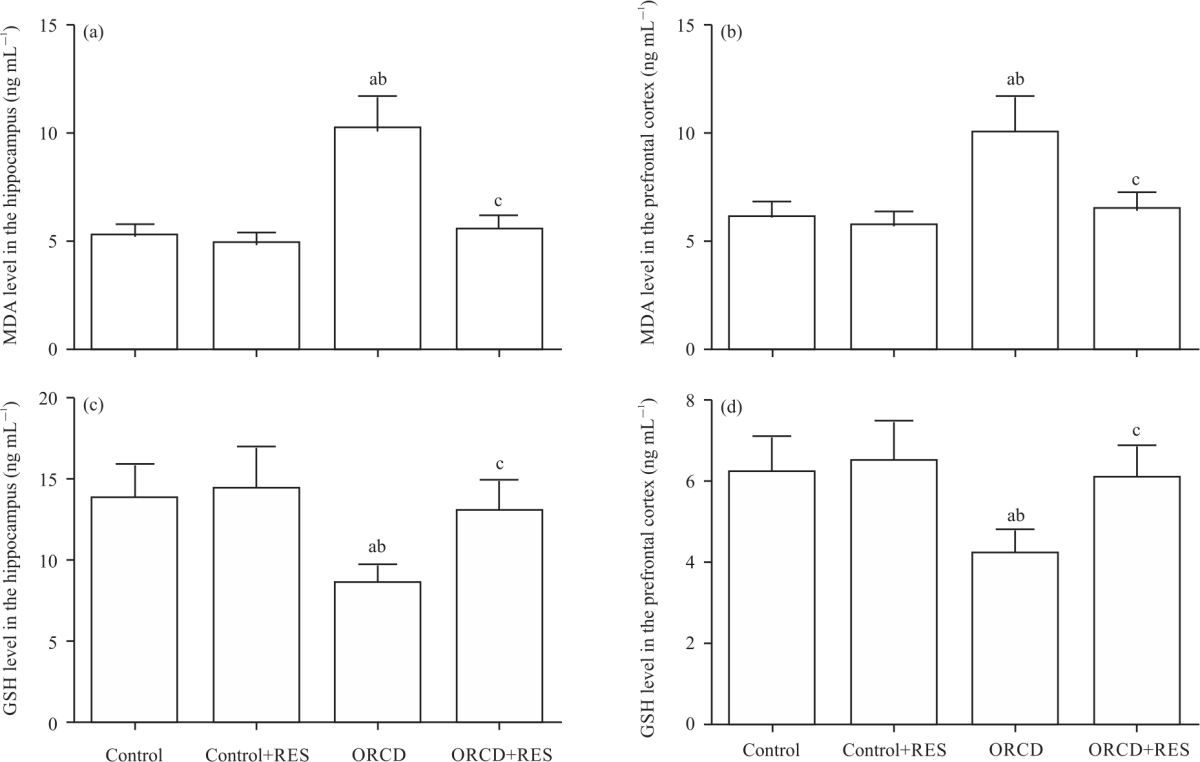 Image for - Effect of Resveratrol on Neurotrophic Factors and Depression-Like Behavior in a Rat Model of Male Hypogonadism