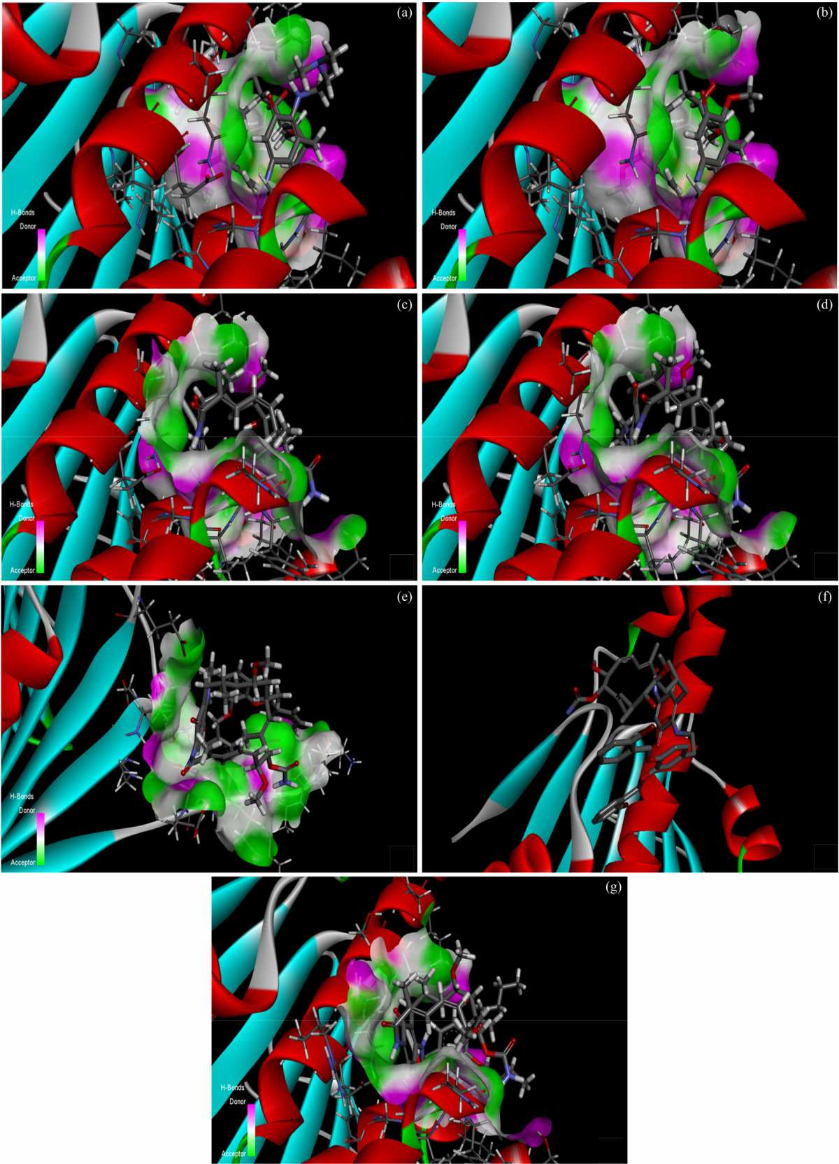 Image for - Antiviral Activity of Dopamine Geldanamycin Hybrids Against Influenza Virus and Association with Molecular Docking Analysis
