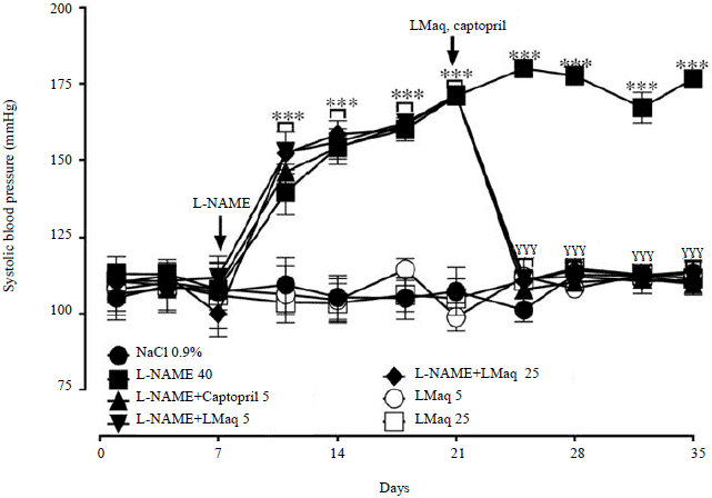 Image for - Antihypertensive Effect of the lyophilized Aqueous Extract of Lannea microcarpa in L-NAME-Induced Hypertensive Wistar Rats