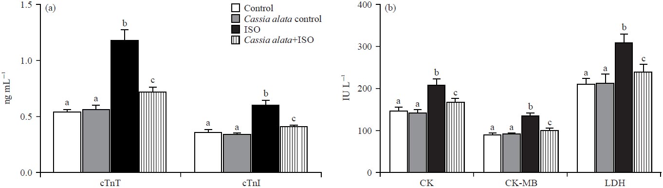 Image for - Modulatory Effect of Cassia alata Leaf Extract on Isoproterenol-Induced Myocardial Inflammation and Fibrosis in Male Albino Wistar Rats