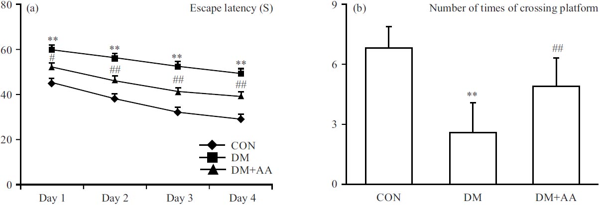 Image for - Asiatic Acid Ameliorates Cognitive Impairment in Diabetic Rats