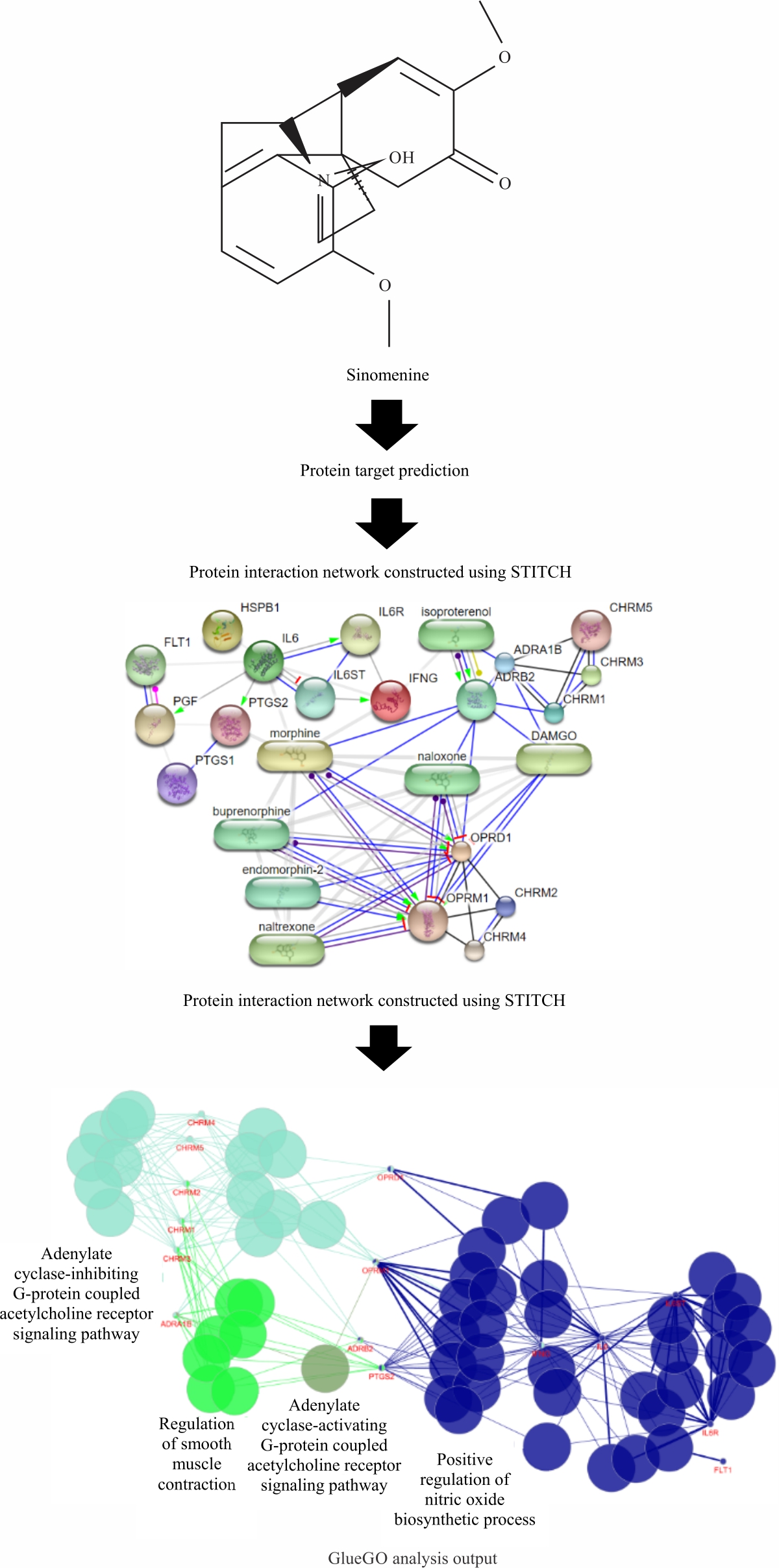 Image for - Network Pharmacological Investigation of Sinomenine Action Against Synovitis