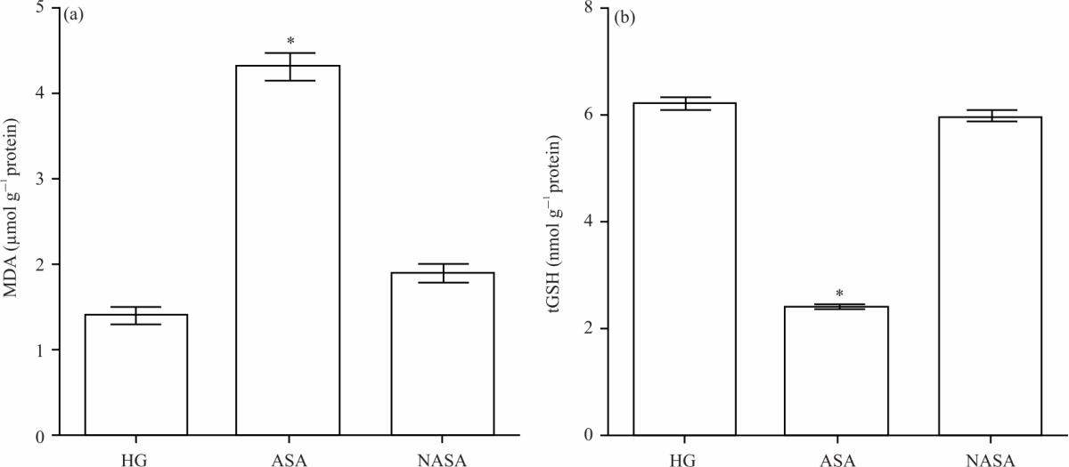 Image for - Otoprotective Effect of Nimesulide: Biochemical and Histopathologic Evaluation