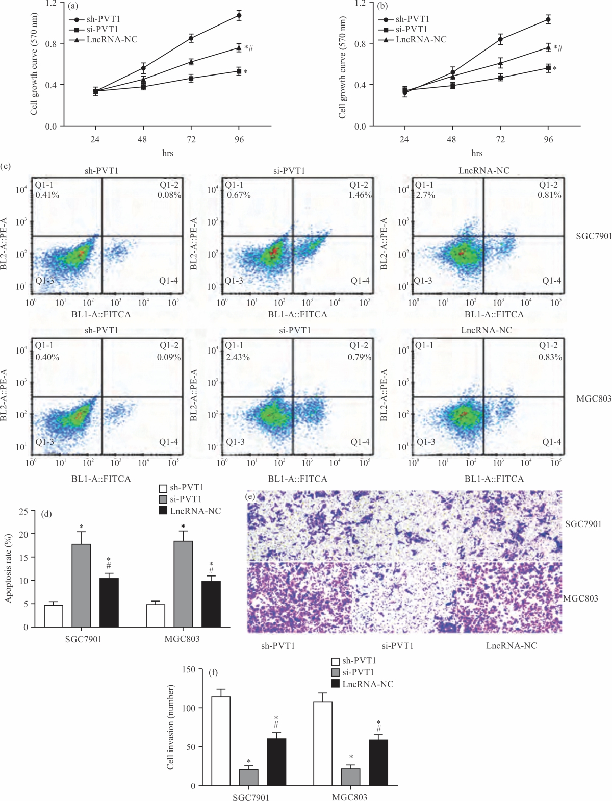 Image for - lncRNA PVT1 Targeting miR-423-5p Regulates Biological Behavior of Gastric Carcinoma Cells