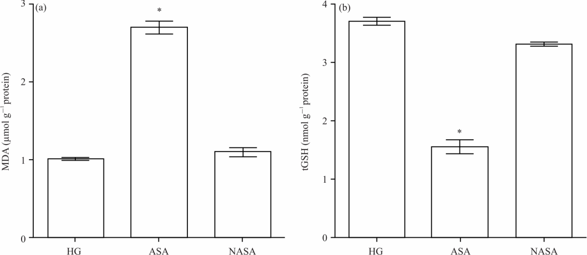 Image for - Otoprotective Effect of Nimesulide: Biochemical and Histopathologic Evaluation