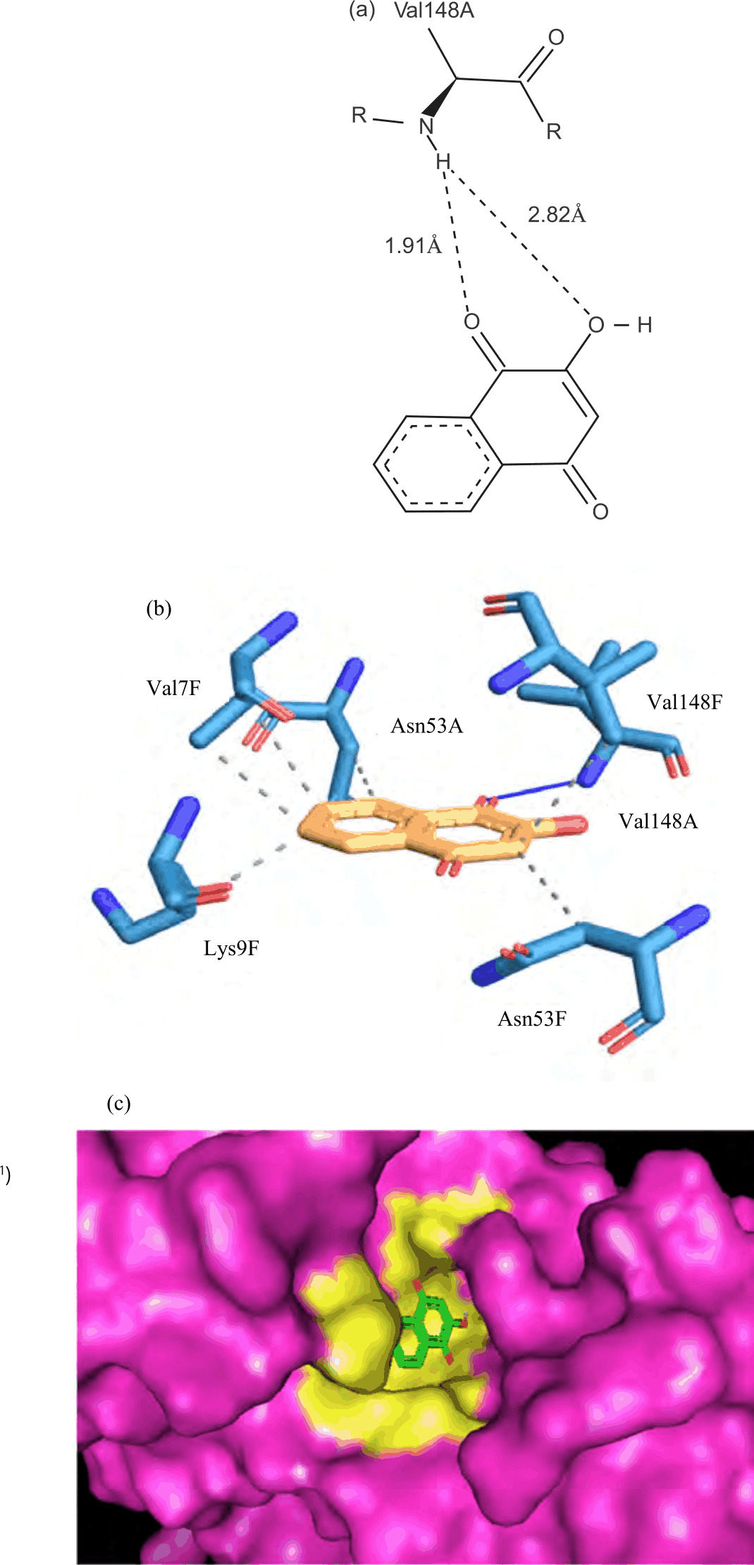 Image for - Antioxidant Activity of Lawsone and Prediction of its Activation Property on Superoxide Dismutase