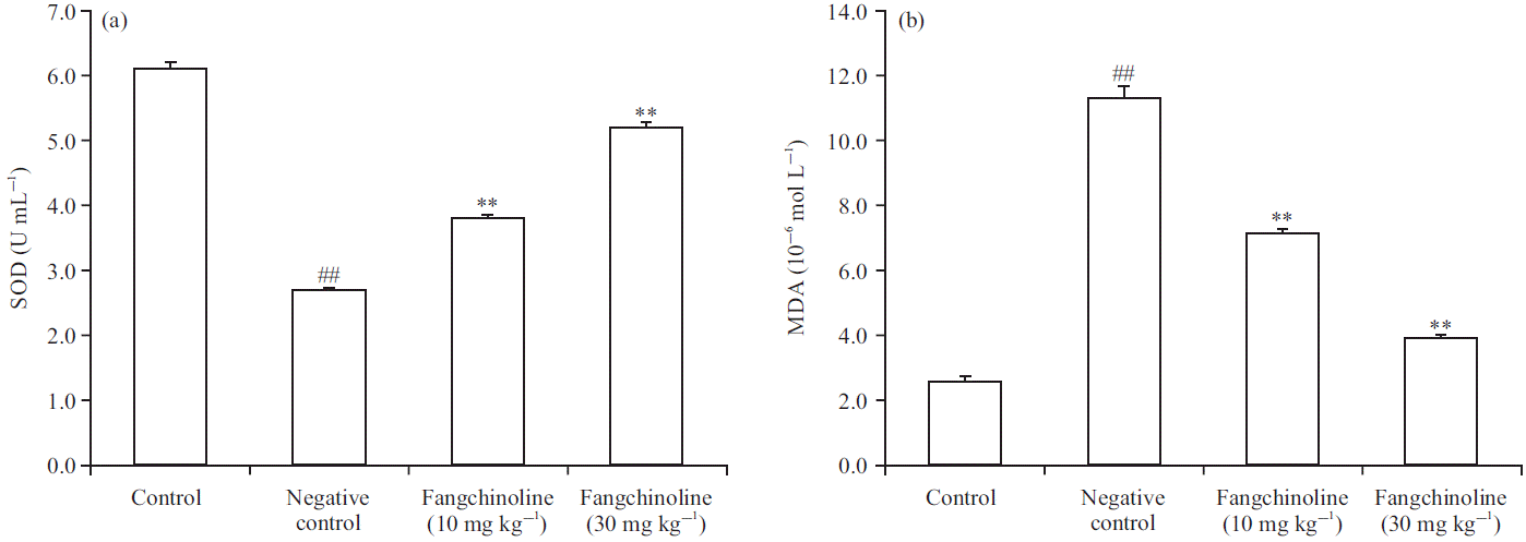 Image for - Protective Effect of Fangchinoline Against Glaucoma and Neuroinflammation in Unilateral Ocular Hypertension in Mice