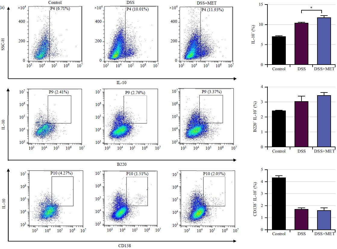 Metformin Alleviates Dextran Sulfate Sodium-induced Colitis In A Mouse 