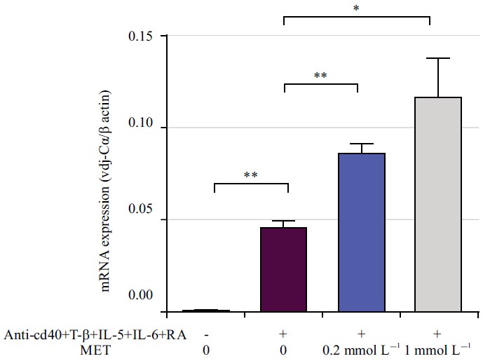 Metformin Alleviates Dextran Sulfate Sodium-Induced Colitis In A Mouse ...