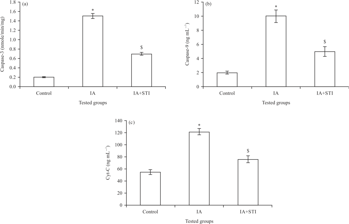 Image for - Cerebroprotective Role of Stigmasterol Against the Progression of Experimentally Induced Intracranial Aneurysms in Rats