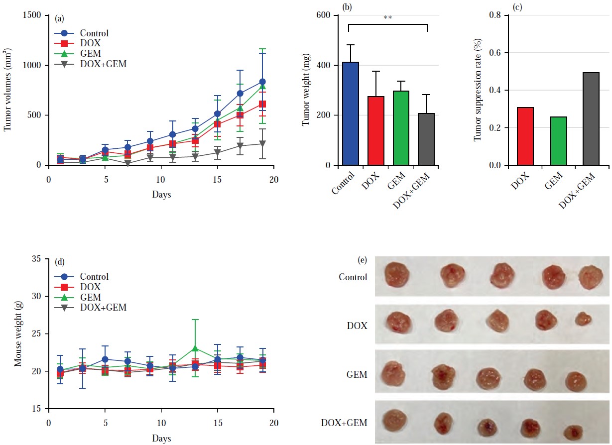 Combination Therapy of Gemcitabine and Doxorubicin to Activate Tumor ...
