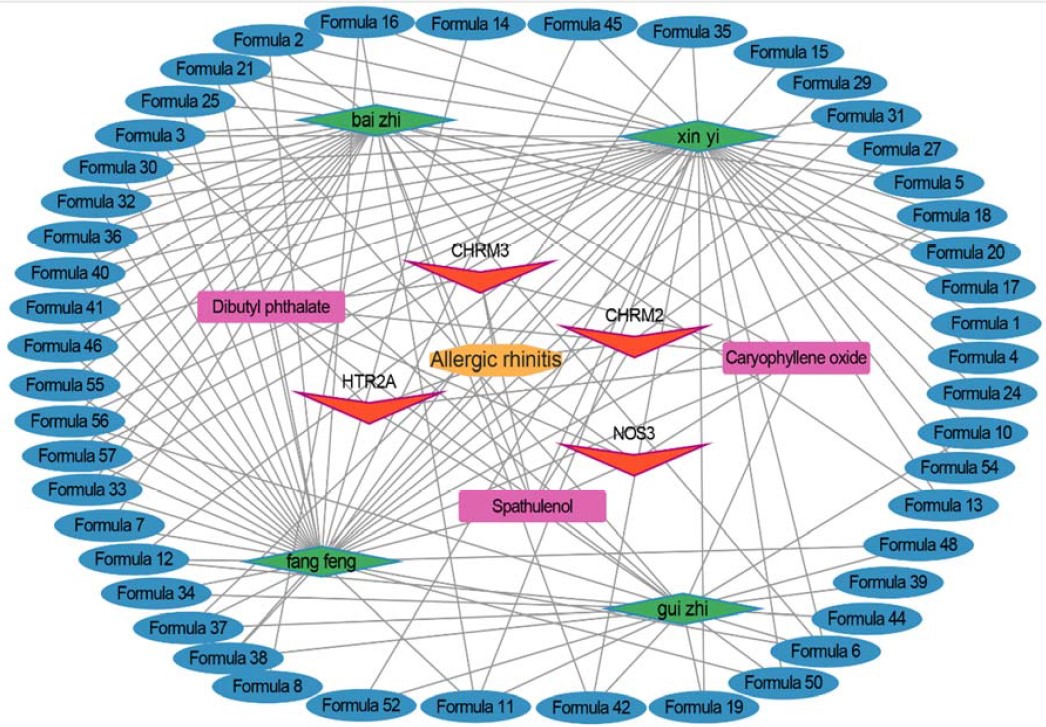 Discovery of Core Herbal Ingredients for Allergic Rhinitis: Based on ...