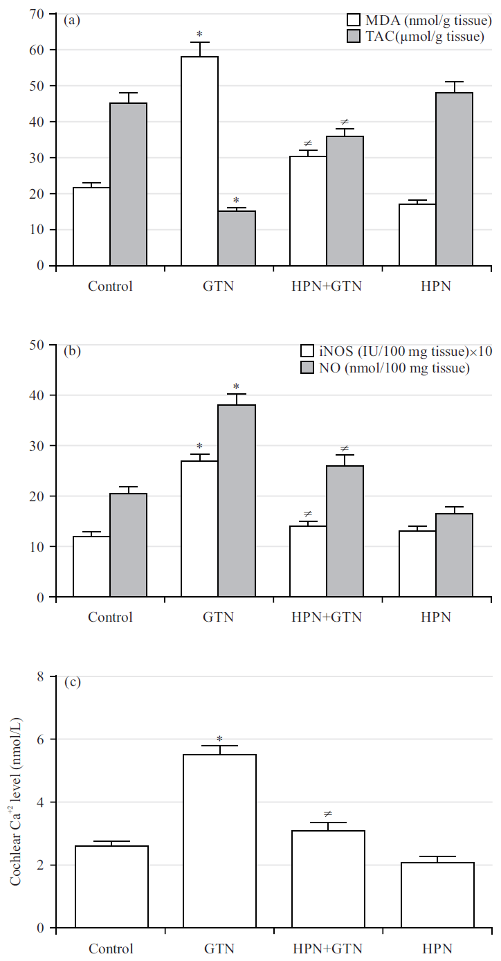 Hesperidin Alleviates Gentamicin Ototoxicity In Rats By Inhibiting   Fig1 2k24 1024 1029 