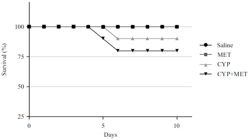 Image for - Impact of Metformin on Hypothyroidism Induced by Cyclophosphamide in Rats