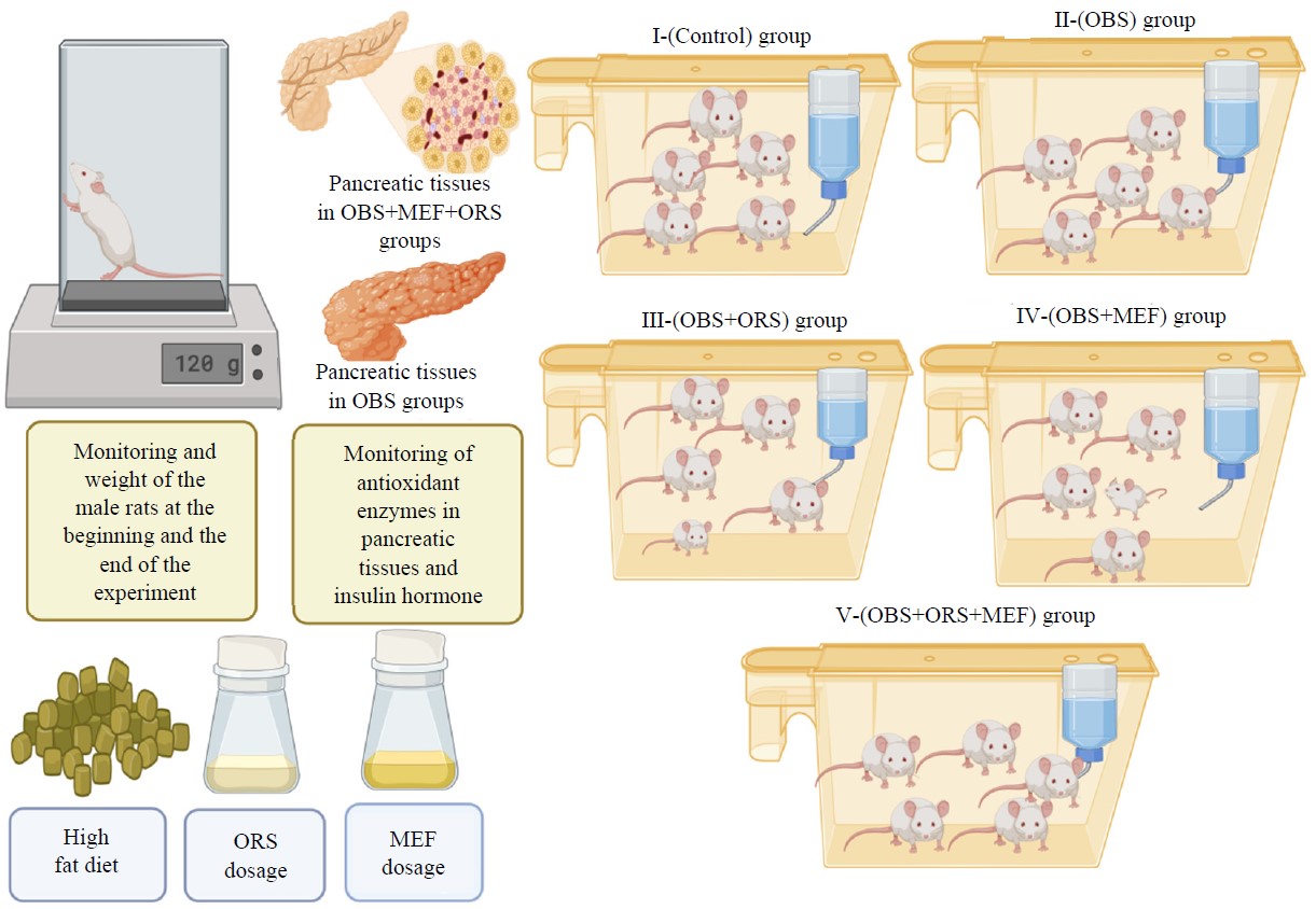Orlistat and Metformin Effectively Reduce Pancreatic Dysfunction