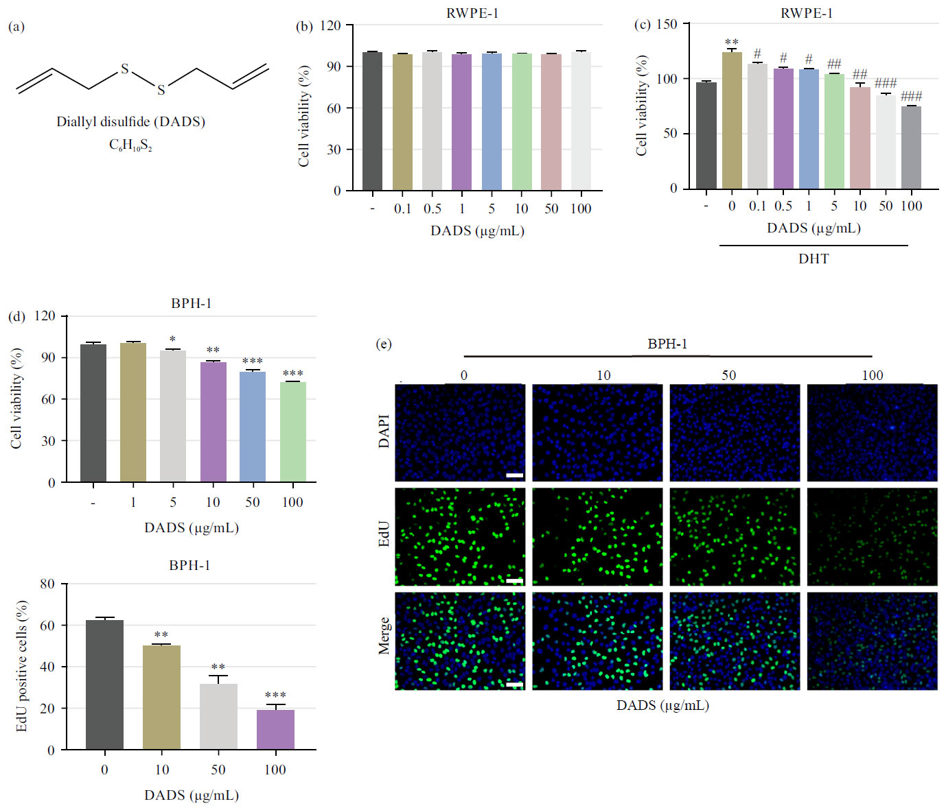 Image for - In vitro Validation of the Therapeutic Potential of Diallyl Disulfide on Benign Prostatic Hyperplasia: Effect on Hyperproliferation, Oxidative Stress and Inflammation
