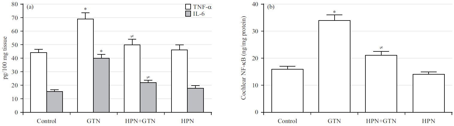 Hesperidin Alleviates Gentamicin Ototoxicity In Rats By Inhibiting   Fig2 2k24 1024 1029 