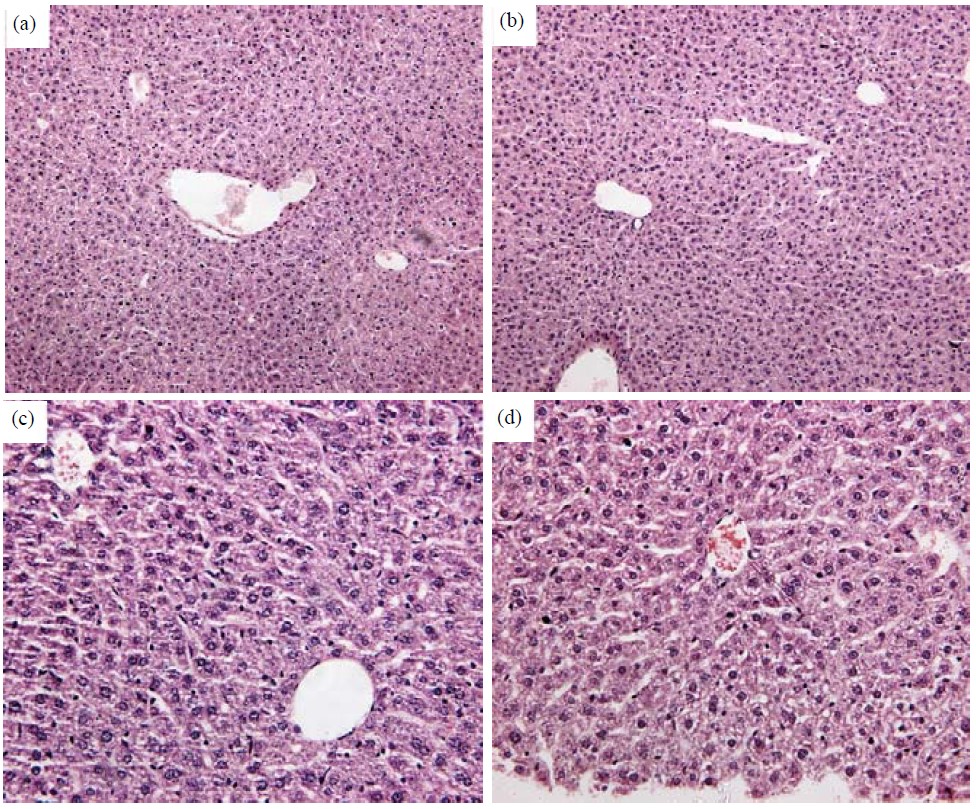 Image for - Investigation of Hepatotoxic Effects of Zerumbone in Female Balb/c Mice