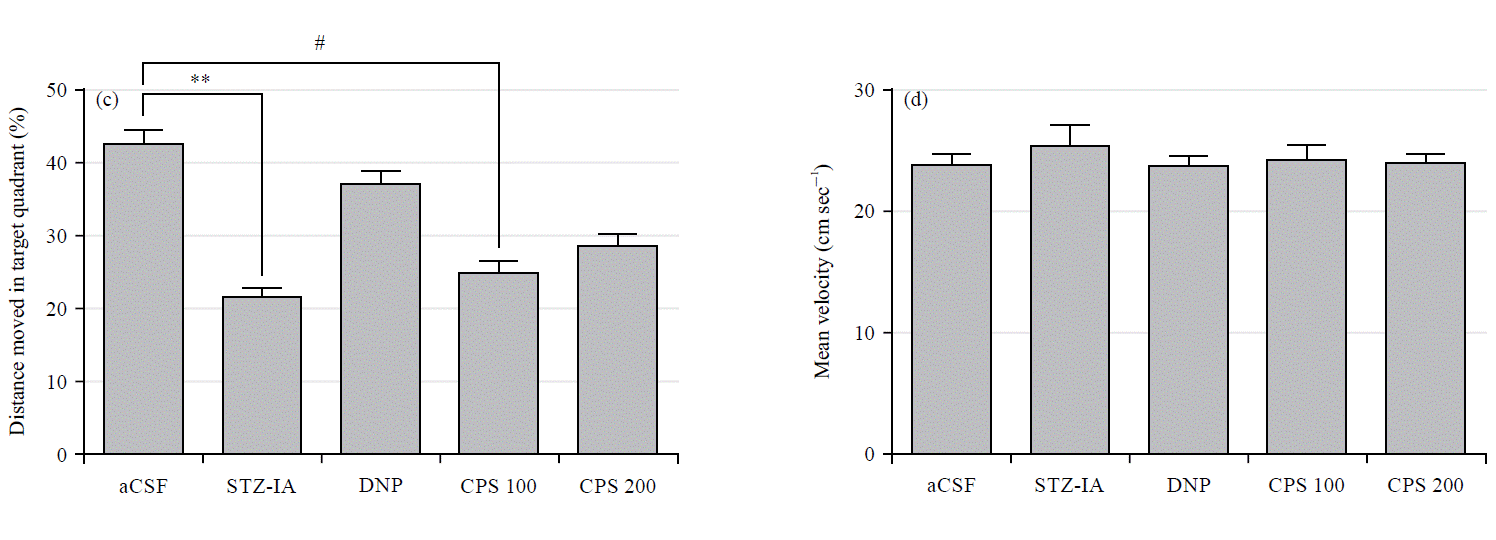 Improvement of Learning and Memory by Chickpeas (Cicer arietinum L ...