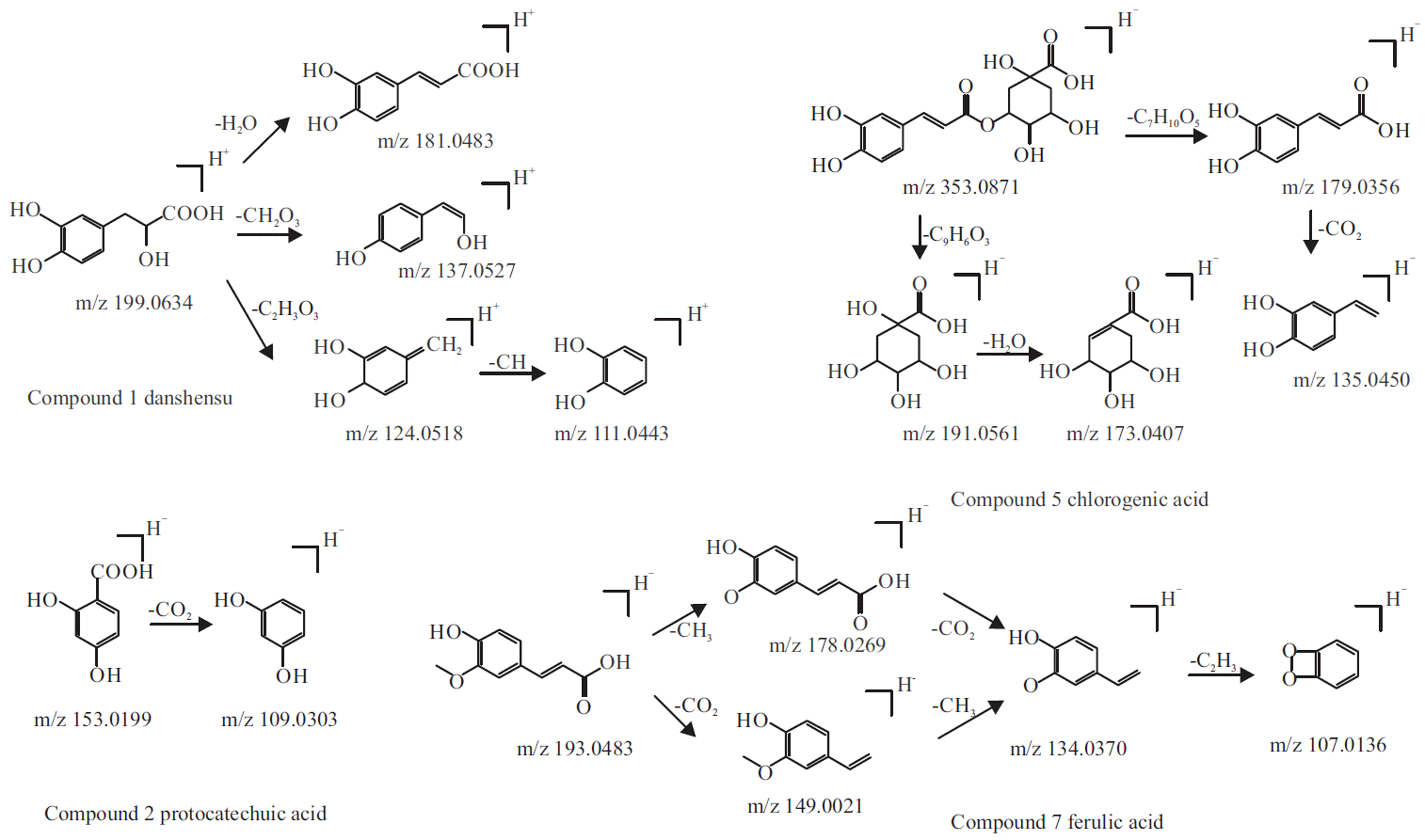 Analysis of Ingredients of Biyuan Tongqiao Granule Absorbed into Blood ...