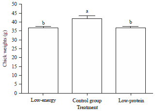 Image for - Effect of Low-Energy and Low-Protein Diets on Production Performance of Boiler Breeders and Hatching Parameter