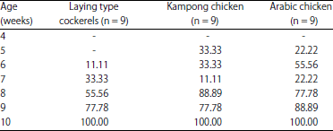 Image for - Comparison of Fatness and Meat Quality of Kampung Chickens,Arabic Chickens and Laying Type Cockerels at DifferentSlaughtering Ages