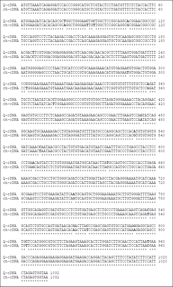 Image for - Cloning of Japanese Quail (Coturnix japonica) Follistatin and Production of Bioactive Quail Follistatin288 in Escherichia coli