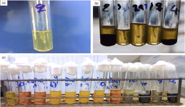 Image for - Molecular Detection of Salmonella pullorum from Poultry Ceca and Vaccine Preparation