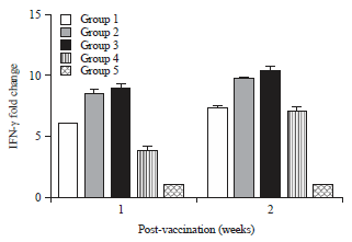 Image for - IMS 1313-nanoparticle Mucosal Vaccine Enhances Immunity Against Avian Influenza and Newcastle Disease Viruses