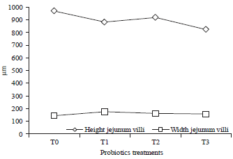 Image for - Improvement of Small Intestine Morphometry in Broiler Chicken Using Fermented Cow and Soymilk as Probiotic