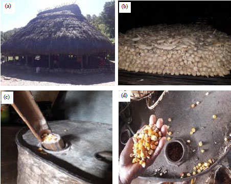 Image for - Aflatoxin and Ochratoxin A Contamination in Corn Grains and Sago (Putak Meal) from Different Sources for Poultry in West Timor, Indonesia