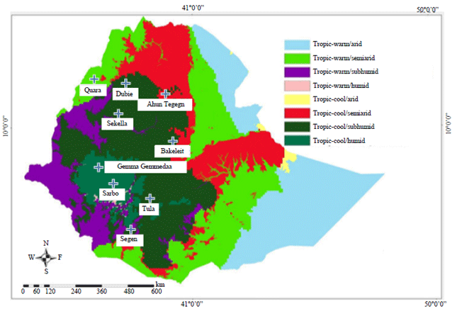 Image for - Genetic Diversity and Population Structure of Indigenous Chicken Ecotypes (Gallus gallus domesticus) in Ethiopia using LEI0258 Microsatellite