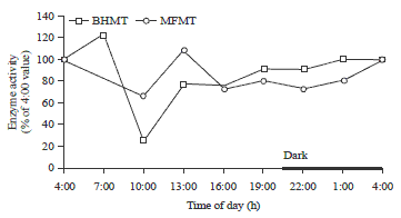 Image for - The Diurnal Changes of Hepatic Enzymes and Metabolites of Methionine Metabolism in Laying Hens