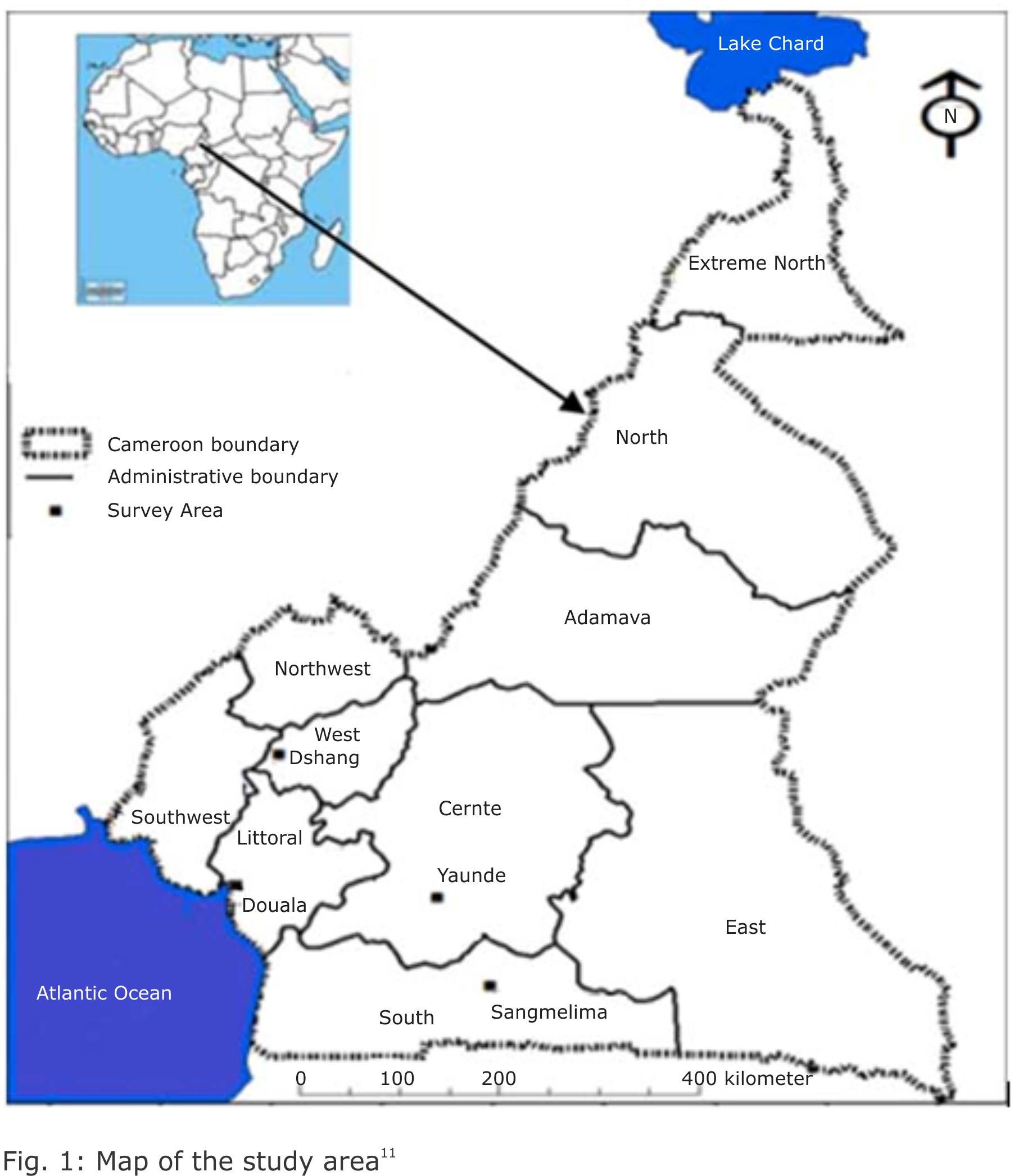 Image for - Chicken Farming Practices and Occurrence of Antimicrobial Resistance in Four Regions of Cameroon