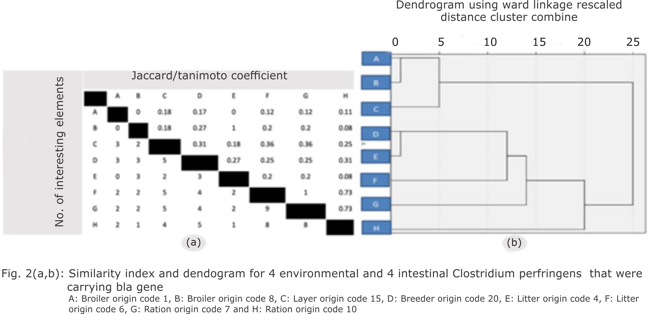 Fig. 2: Similarity index and dendogram for 4 environmental and 4 intestinal Clostridium perfringens that were carrying bla gene