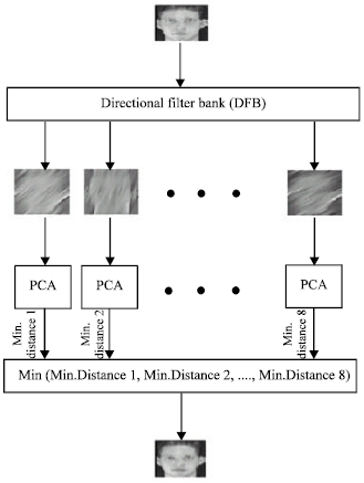 Image for - Principal Component Analysis of Directional Images for Face Recognition