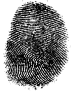 Image for - Fingerprint Verification System Using Artificial Neural Network
