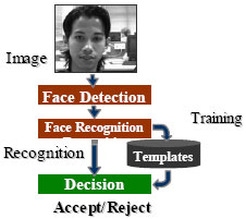 Image for - A Face Detection and Recognition System for Intelligent Vehicles