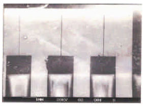 Image for - A Neural Based Intelligent Interpretation System of Detected Gases Using PbPc Gas Sensor Array