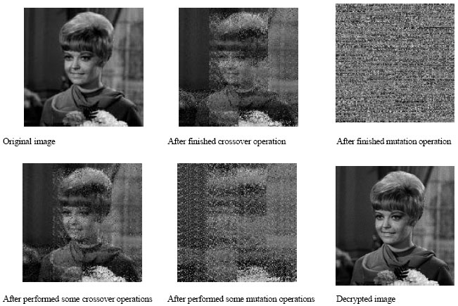 Image for - Image Encryption Using Genetic Algorithm