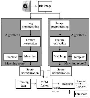 Image for - Minimax Probability Machine Multialgorithmic Fusion for Iris Recognition