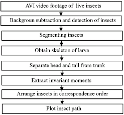 Image for - Automated Motion Tracking of Insects Using Invariant Moments in Image Sequence