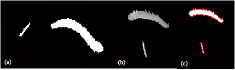 Image for - Automated Motion Tracking of Insects Using Invariant Moments in Image Sequence