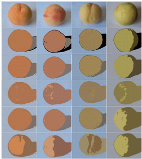 Image for - Image Segmentation Using The Enhanced Possibilistic Clustering Method