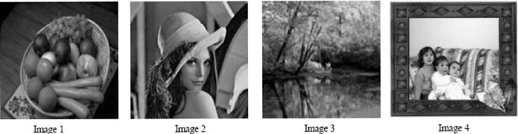 Image for - A Tool for Compressing Images Based on Genetic Algorithm